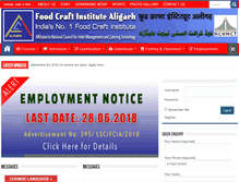 Tablet Screenshot of foodcraftaligarh.com